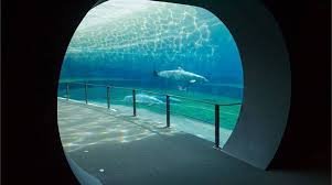 Acquario di Genova si presenta con una nuova veste