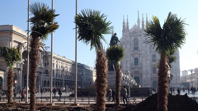 Milano in Piazza Duomo, vandali bruciano tre palme
