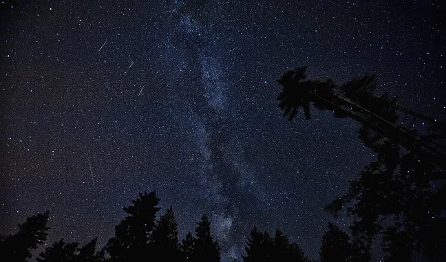 Picco delle Perseidi, naso all’insù la notte fra il 12 e 13 agosto