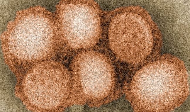 Virus quelli di fine estate mettono a letto migliaia di italiani