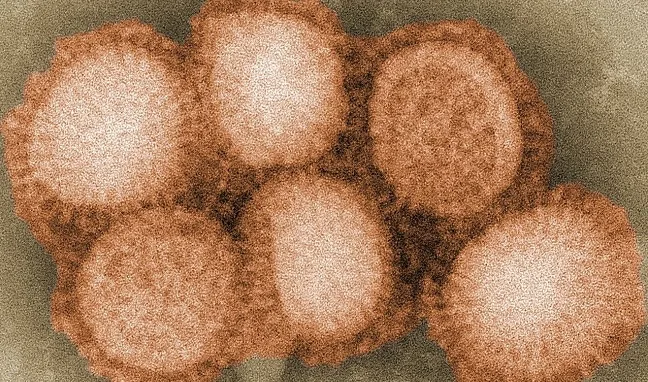 Virus, quelli di fine estate mettono a letto migliaia di italiani