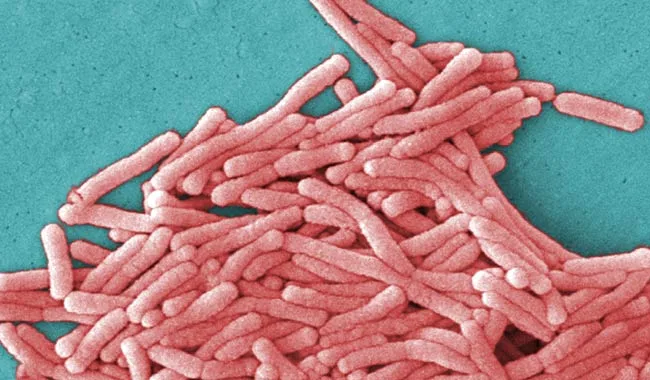 Legionella continua a far paura soprattutto nel bresciano
