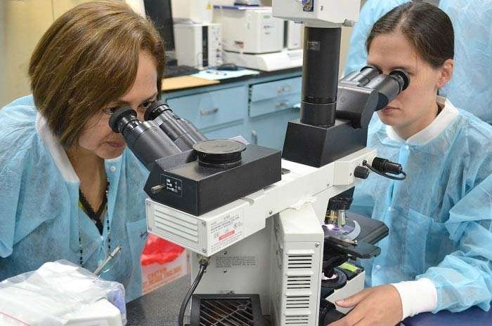 Cdc conferma 62 casi di mielite flaccida la nuova polio