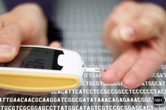 Diabete tipo 2 arriva un programma di supporto digitale