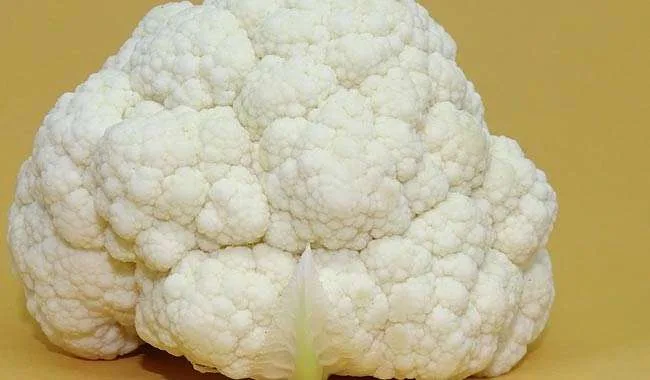 8 alimenti alcalini utili per la tua dieta