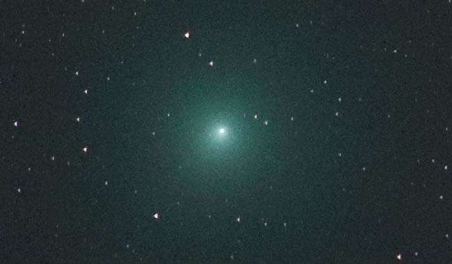 La cometa di Natale si avvicina al massimo del suo splendore