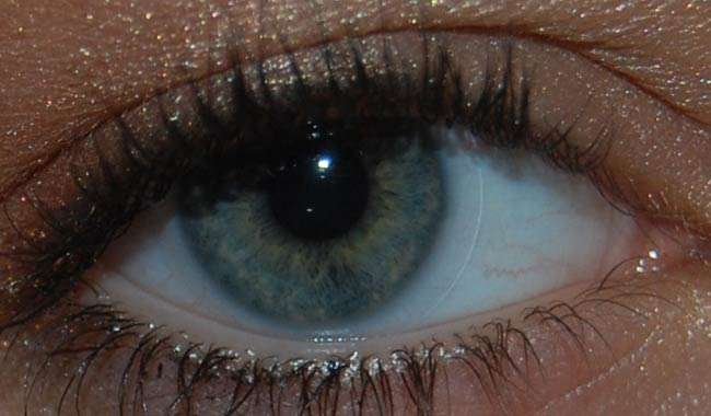 Miopia ormai siamo tutti quattrocchi