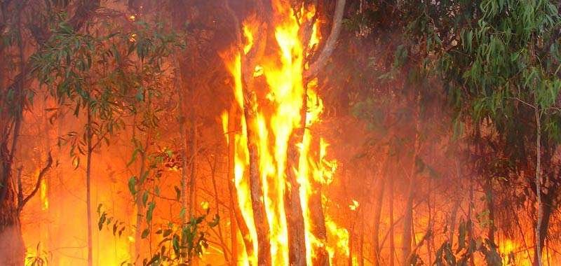 Australia ancora alle prese con emergenza incendi