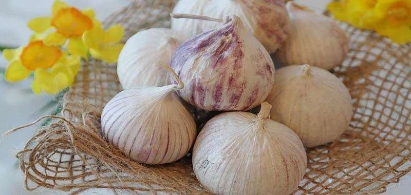 aglio un alleato contro ipertensione