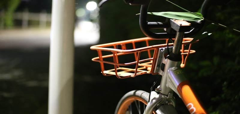 Essere green ogni giorno si può: ecco 3 modi per riuscirci
