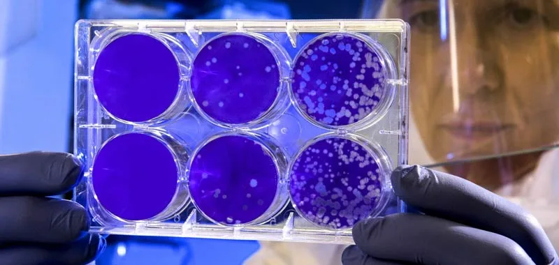 Coronavirus: Possibile una re-infezione da virus