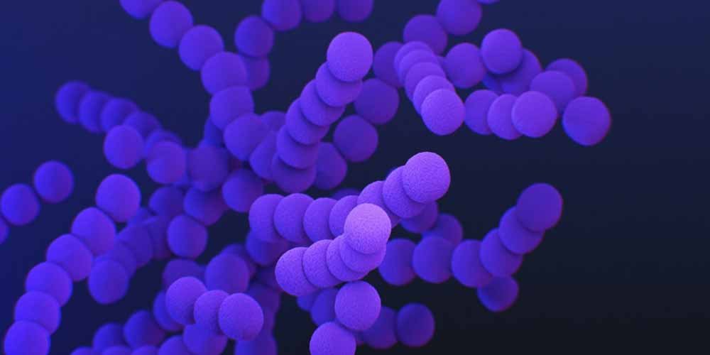 Coronavirus Le varianti non sono differenti