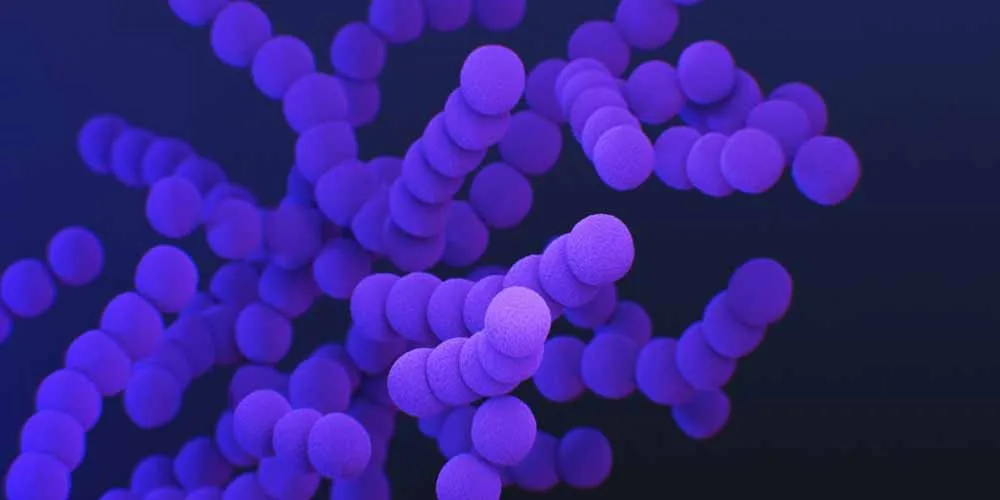 Coronavirus Le varianti non sono differenti