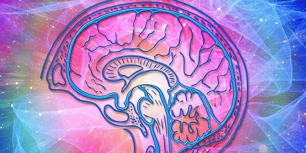 Scienza: Abbiamo un termostato nel nostro cervello
