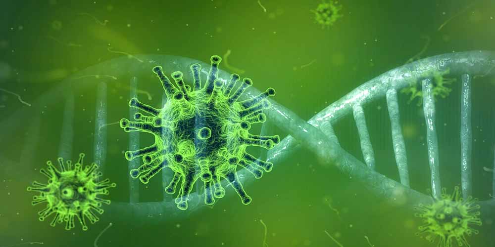 Ricercatori scoprono nuovi tipi di coronavirus