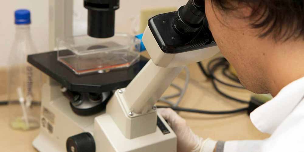 Che significa Sindrome uomo albero