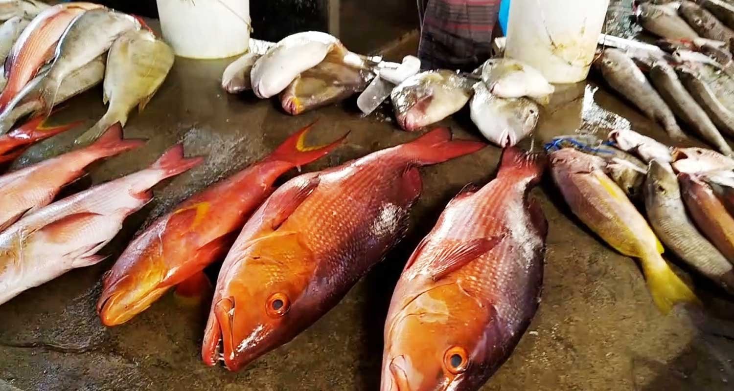 Dieta Alcuni tipi di pesce possono gonfiare lo stomaco