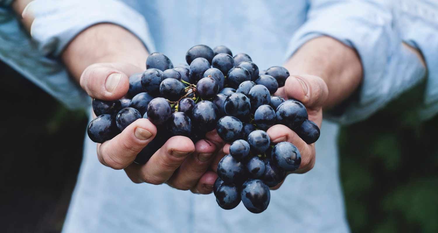 Ecco i cibi che tengono puliti i nostri polmoni