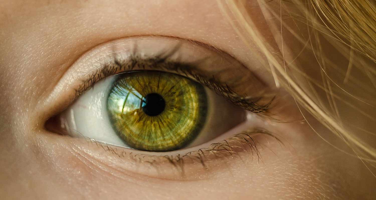 La retina puo rivelare quanto sano il tuo cervello