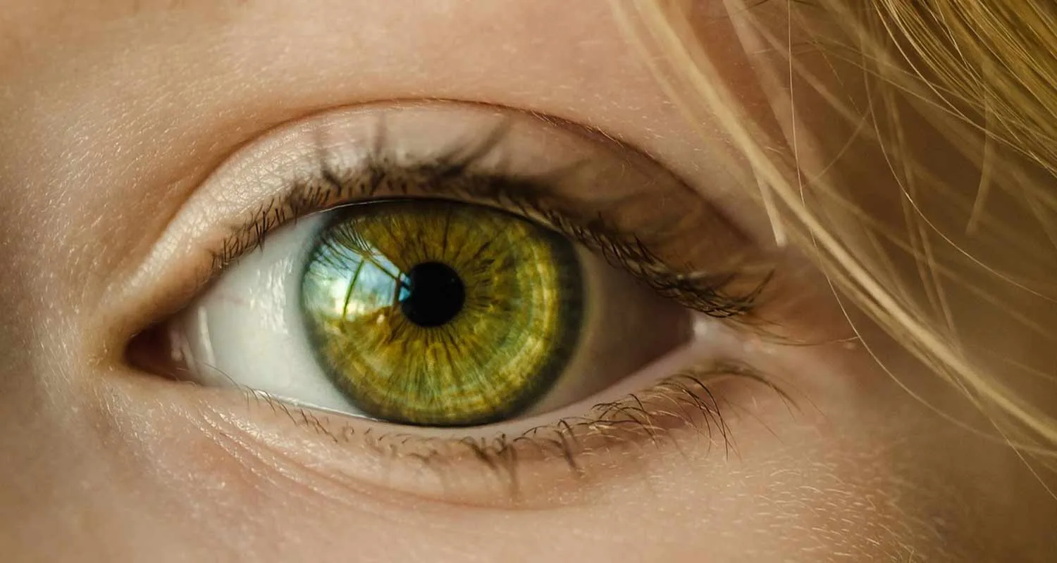 La retina puo rivelare quanto sano il tuo cervello
