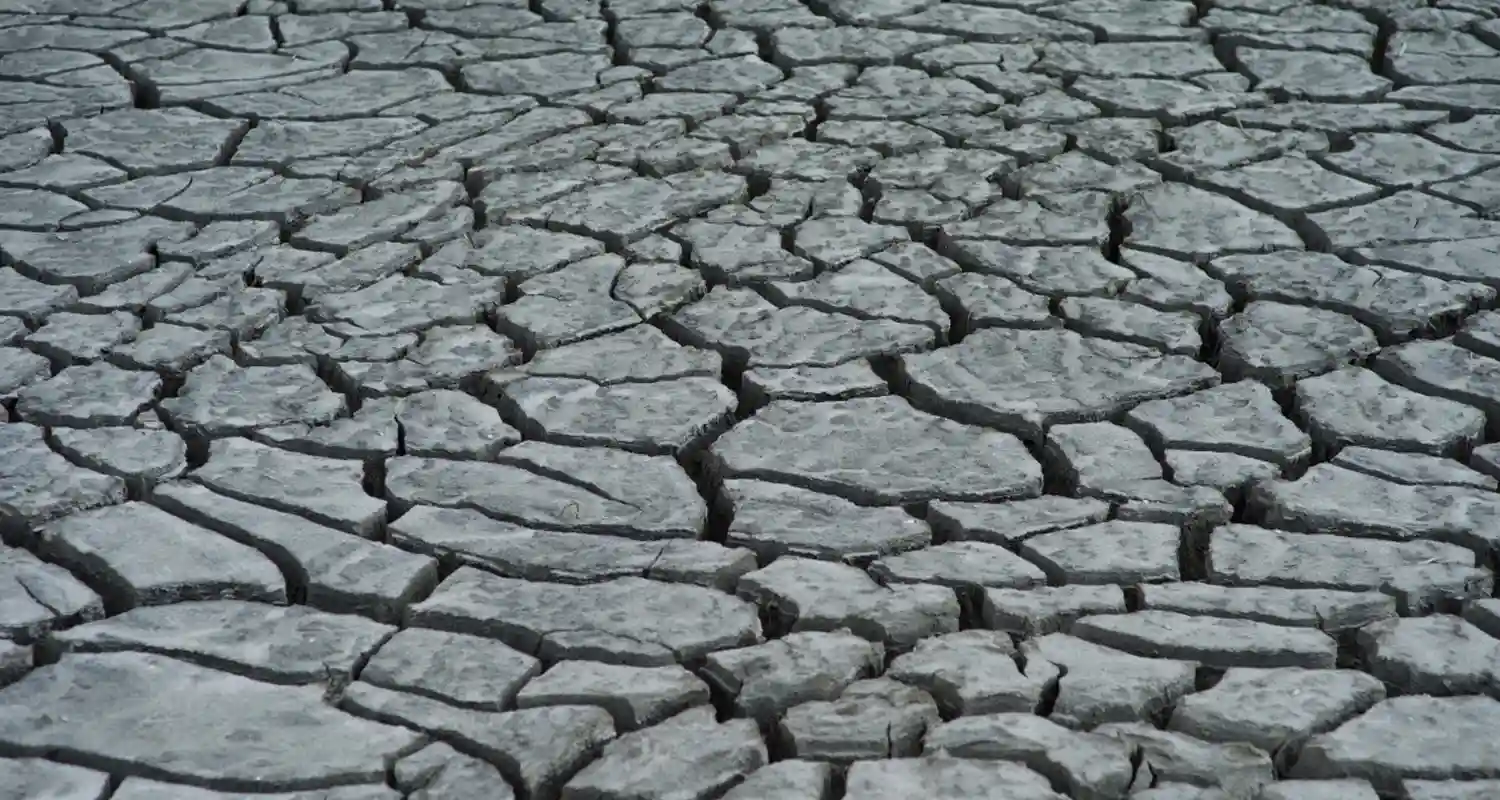 I Paesi Bassi sono senz’acqua, dichiarano l’emergenza