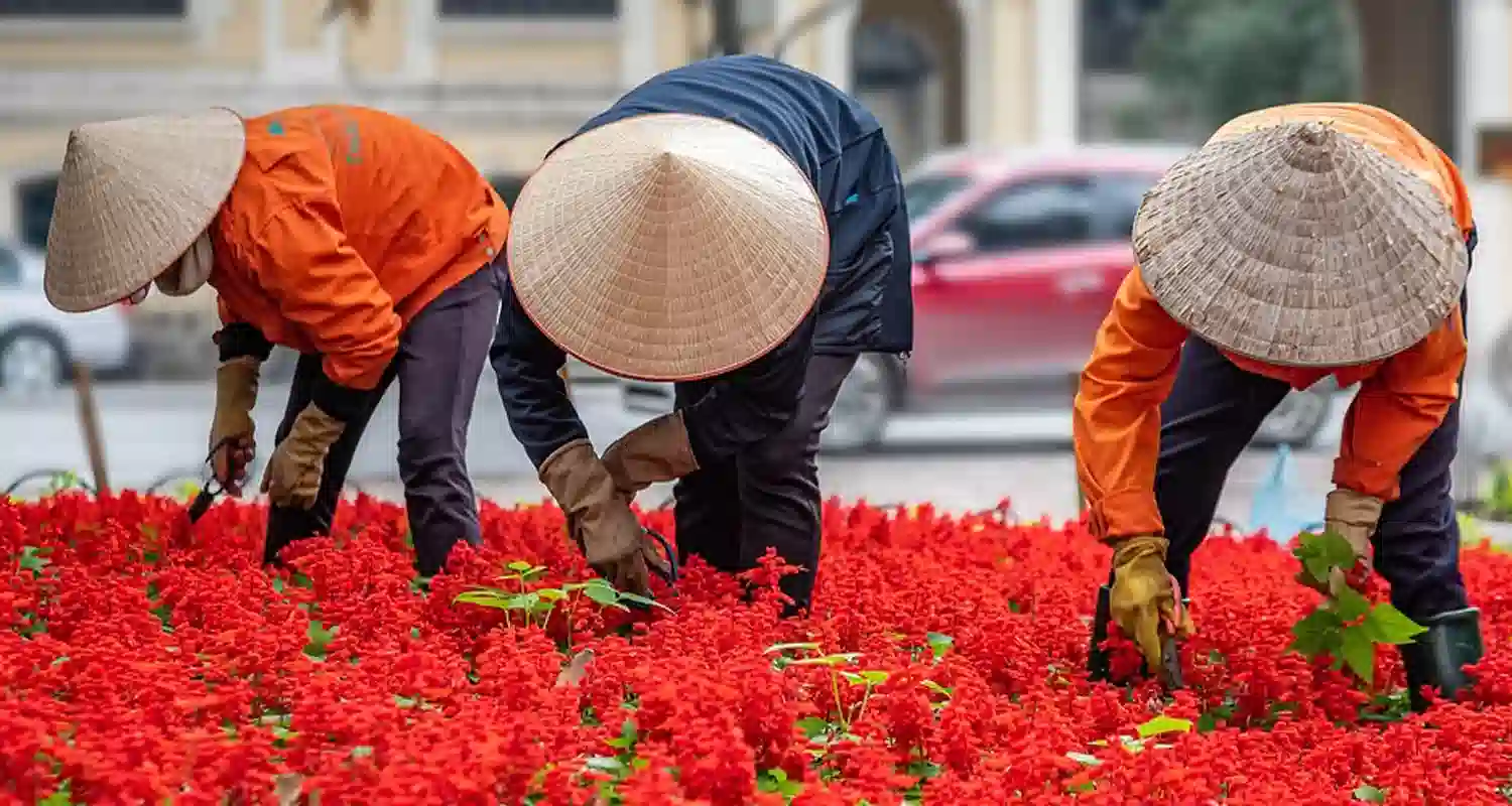 Economia cinese rallenta e si porta dietro quella asiatica