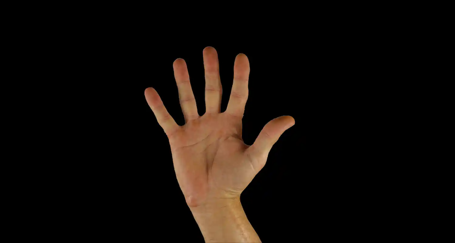 Leggere la mano per il futuro