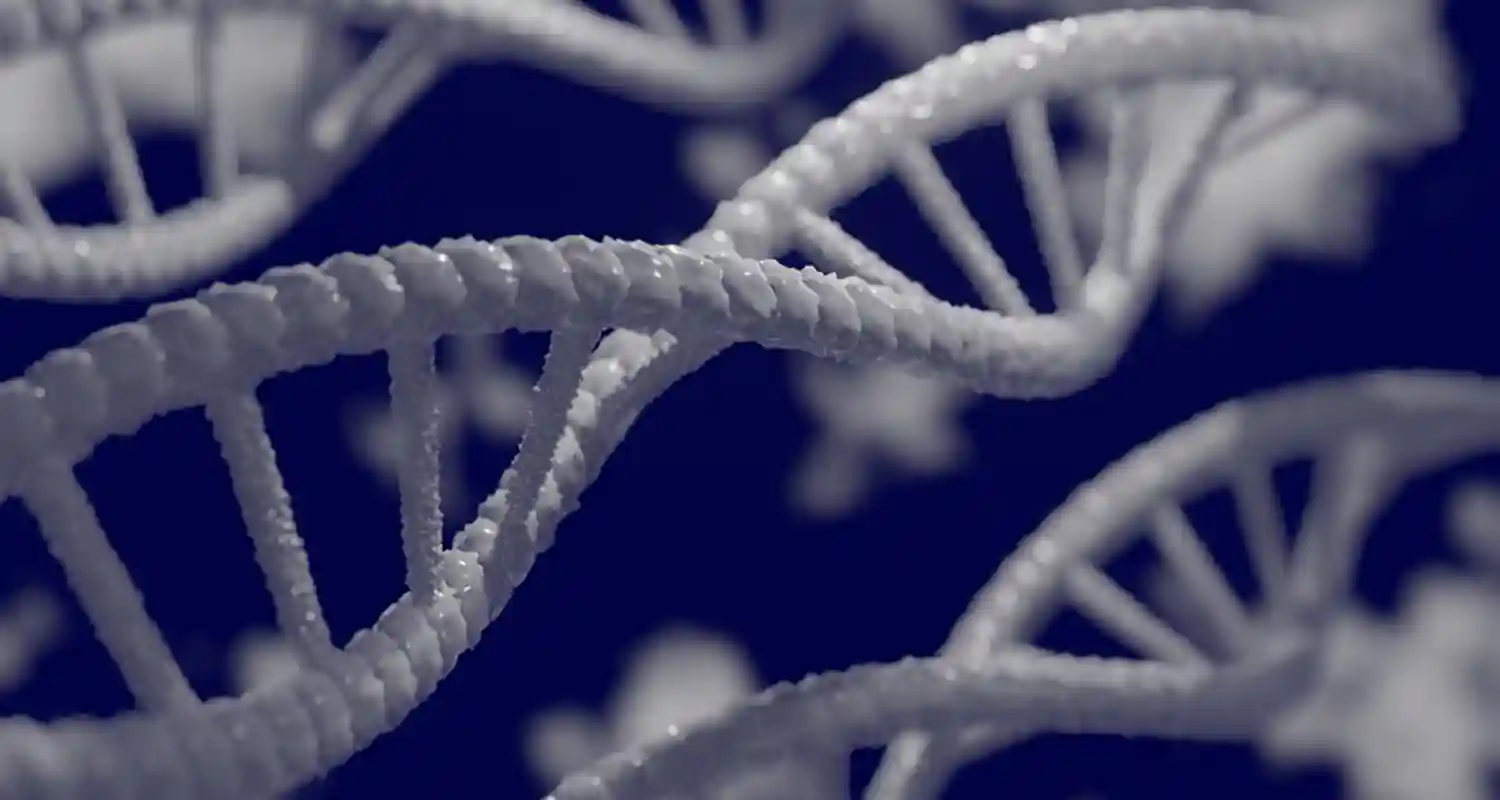 Scoperta rivoluzionaria sulla diversita genetica umana