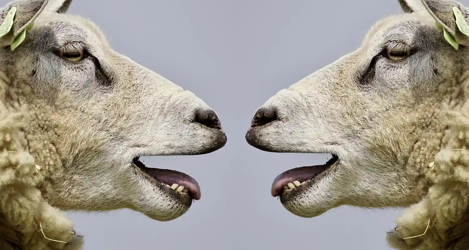 Come riuscire ad intendersi consigli e verita