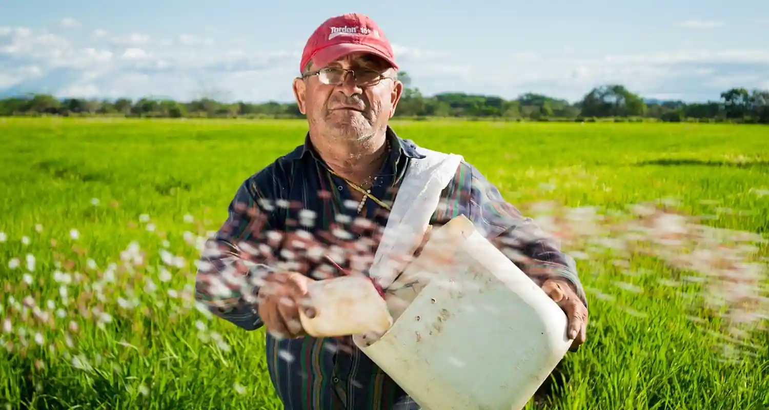 Consigli per la conduzione di un terreno agricolo