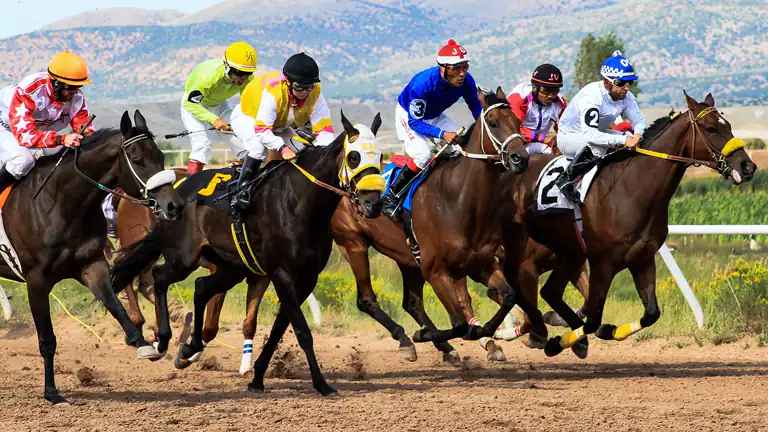 Il Fenomeno delle Scommesse “Sure Bet” o “Arbitrage Betting”