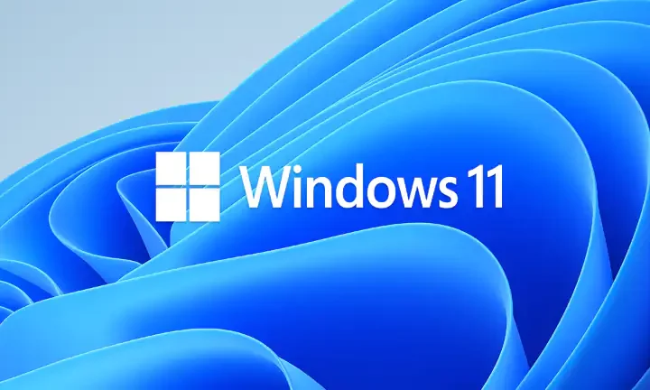 Windows 11 24H2 aggiornamento che blocca Internet per alcuni utenti