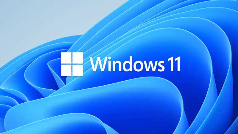 Windows 11 24H2: L’aggiornamento che blocca Internet per alcuni utenti