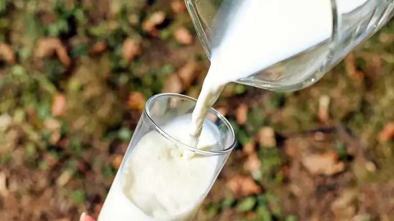 Intolleranza al Lattosio Cose Come Riconoscerla e Gestirla