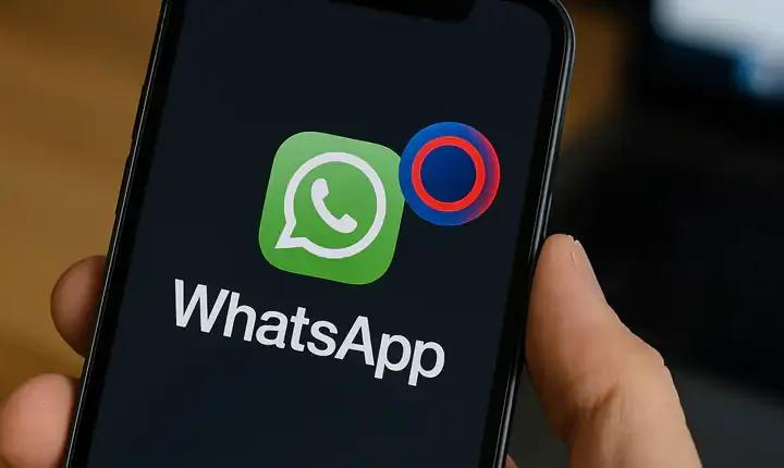 WhatsApp ecco cosa significa il nuovo anello blu-rosso