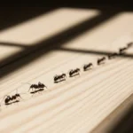 Ti sei mai chiesto cosa significa sognare tante formiche in casa