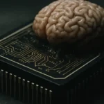 computer-vivente-cl1-biocomputer