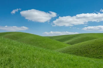 Lo sfondo di Windows XP oggi è un vigneto, ma la foto è ancora reale