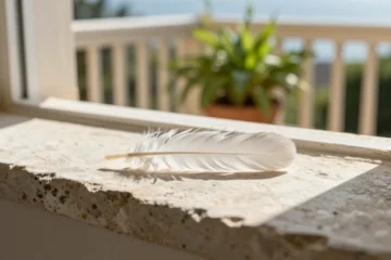 Trovare una piuma bianca sul balcone: cosa significa davvero?
