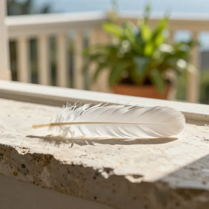 Trovare una piuma bianca sul balcone: cosa significa davvero?